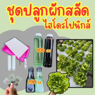 ชุดพร้อมปลูกผักสลัด ผักไฮโดรโปนิกส์ พร้อมปุ๋ยเเละเมล็ดผัก 3 …