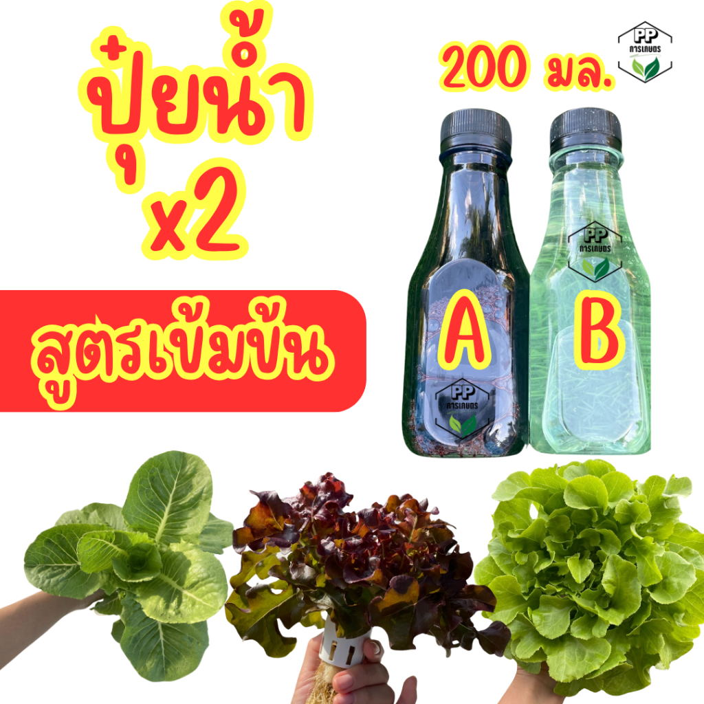ปุ๋ย AB ไฮโดรโปนิกส์ (200 ml x2 ขวด) ธาตุอาหารเอบี สำหรับผักสลัด ผักไทย ระบบน้ำนิ่ง และน้ำวน
