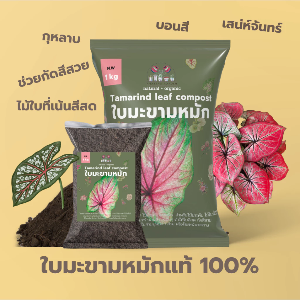 ใบมะขามหมัก 100% ปุ๋ยหมักจากใบมะขาม 1kg ช่วยกัดสีใบให้สด สีเข้ม สีสวย บอนสี กุหลาบ เสน่ห์จันทร์ ไม้ประดับ ไม้ดอก