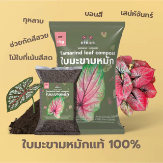ใบมะขามหมัก 100% ปุ๋ยหมักจากใบมะขาม 1kg ช่วยกัดสีใบให้สด สีเข้ม สีสวย บอนสี กุหลาบ เสน่ห์จันทร์ ไม้ประดับ ไม้ดอก