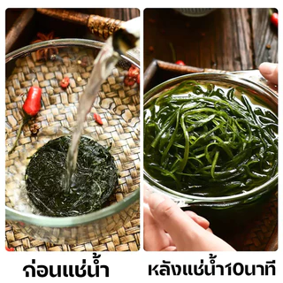 สาหร่าย สาหร่ายอัดก้อนกลม 10g/ซอง ต้นฤดู พองตัวได้120กรัม สาหร่ายทะเลอบแห้งอัดก้อนกลม เกรดA นิยมทำยำสาหร่าย 海带丝 裙带菜