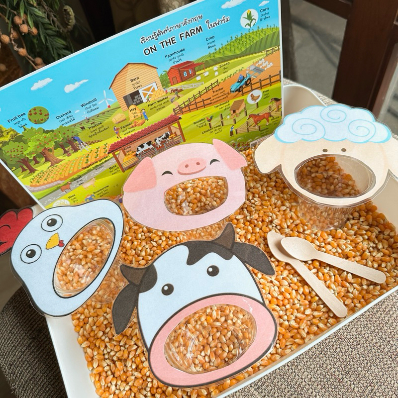 พร้อมส่ง🇹🇭 กล่องกิจกรรม ป้อนอาหารสัตว์ FEED THE ANIMALS🐷