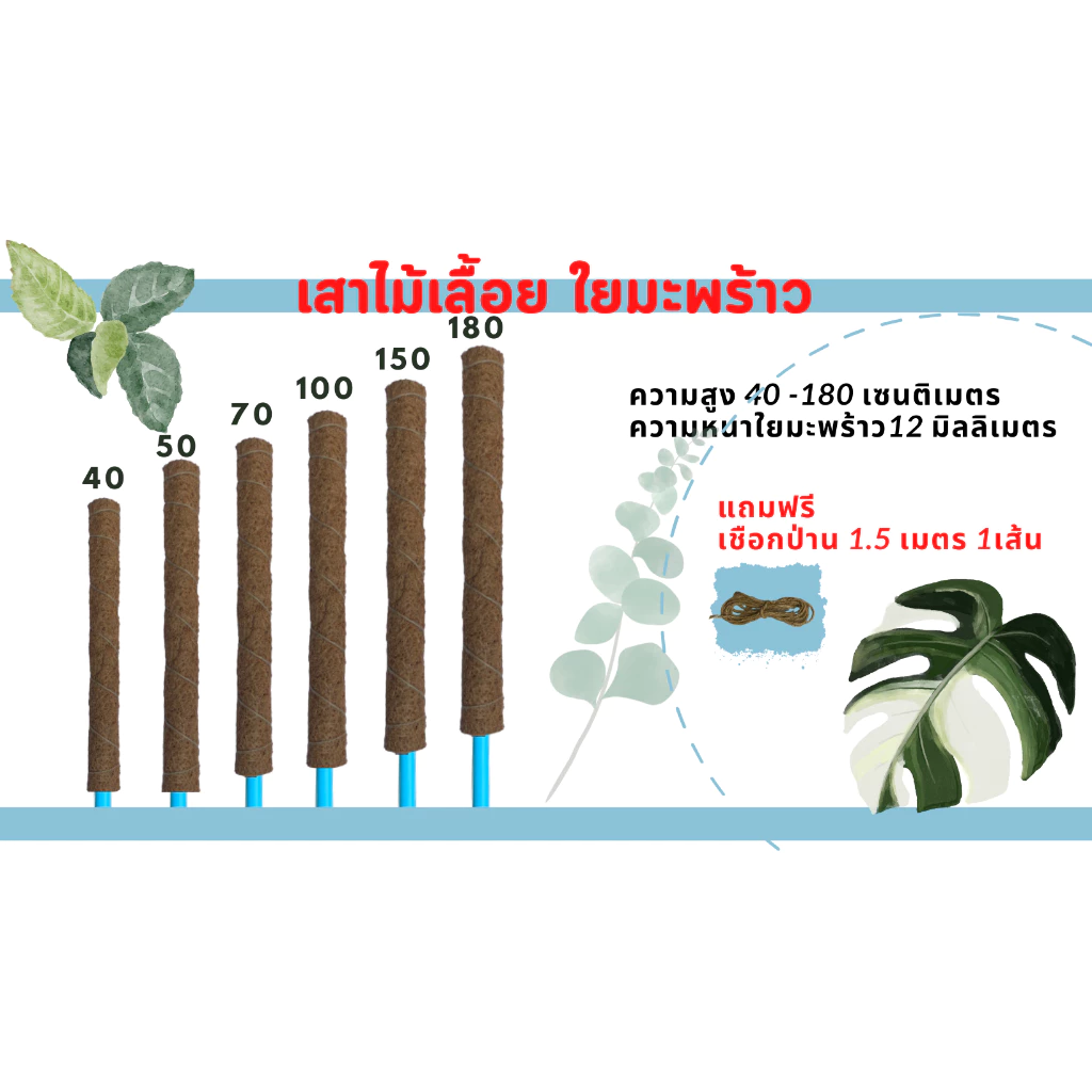เสาไม้เลื้อย เสาใยมะพร้าว เสาหลักปักต้นไม้ ความหนา 12 มม.ท่อ ท่อPVC 1/2นิ้ว(ท่อ4หุน)