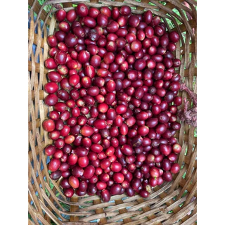 เมล็ดกาแฟ แม่จันใต้ A washed (500 g.)