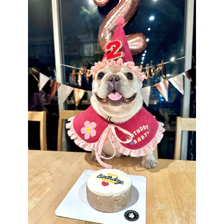 ผ้าผูกคอสัตว์เลี้ยง Birthday Baby Collar ผ้าพันคอสำหรับหมาแมว ปาร์ตี้วันเกิด | CLAWSET.BKK