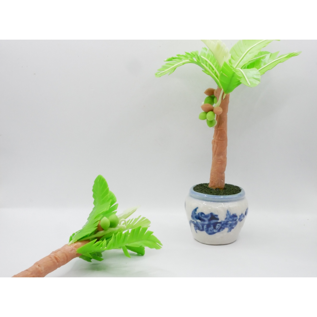 ต้นมะพร้าว มะพร้าว ต้นไม้มงคล งานดินปั้น มะพร้าวจิ๋ว ต้นมะพร้าวจิ๋ว มะพร้าวจิ๋วดินปั้น ไม้มงคล - รูปที่ 6