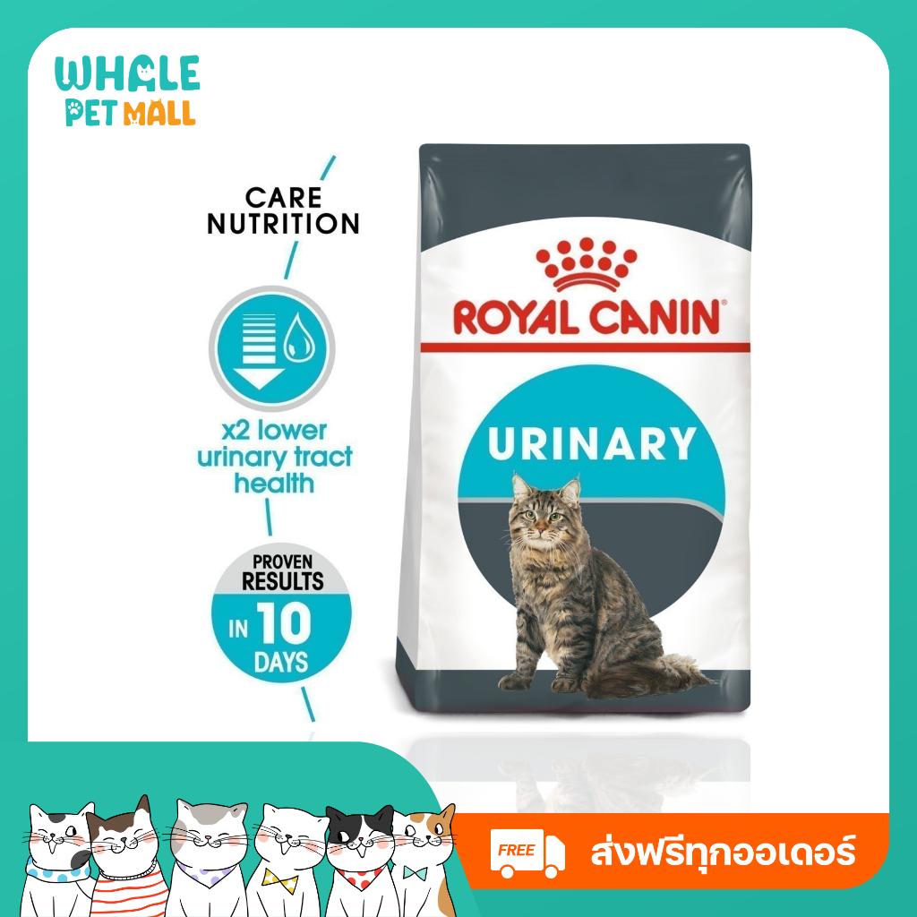 [ส่งฟรี] อาหารเม็ดแมวโต ดูแลสุขภาพทางเดินปัสสาวะ อายุ 1 ปีขึ้นไป Royal Canin Urinary Care  #แมว #อาหารแมว #RoyalCanin