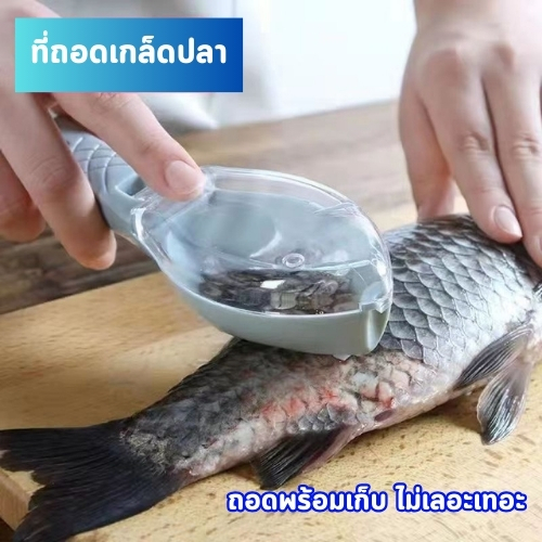 ที่ขูดเกล็ดปลา แบบเก็บเกล็ดปลาพร้อมด้วยเลย ไม่ต้องยุ่งยากในการเก็บอีกครั้ง
