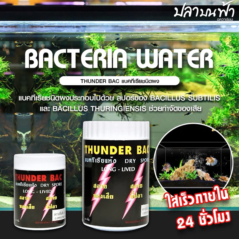 Thunder bac แบคทีเรียชนิดผง สำหรับใส่ตู้ปลา ตู้ไม้น้ำ เพื่อให้น้ำใสปลาแข็งแรง ลดแอมโมเนียย่อยสลายขี้ปลา