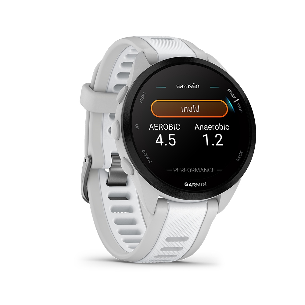 รูปภาพ 8