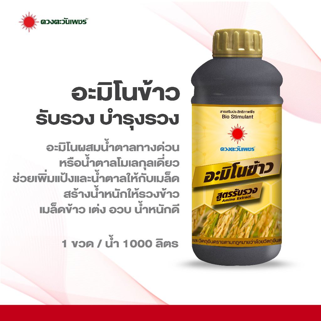 อะมิโนข้าวสูตรรับรวง ขนาด 1 ลิตร ข้าวรวงใหญ่ เมล็ดเต็มรวง อวบ ได้น้ำหนัก ลดการหลุดร่วง