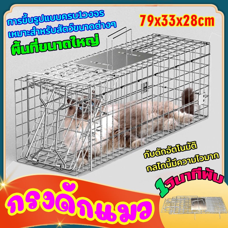 จัดส่งจากไทย กรงดักแมว ขนาดใหญ ทนทาน พับได้ ความไวสูง ชุบกาวาไนท กรงขังแมว กับดักแมว จับแมว กรงจับแม จับสัตว์ป่า