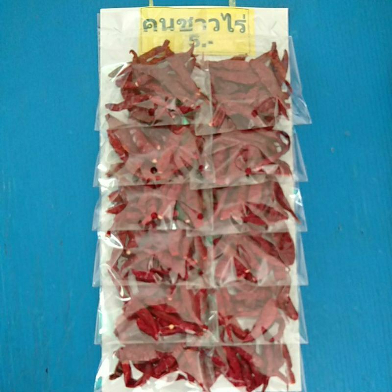 ิพริกแห้ง พริกชี้ฟ้าแดงแห้ง