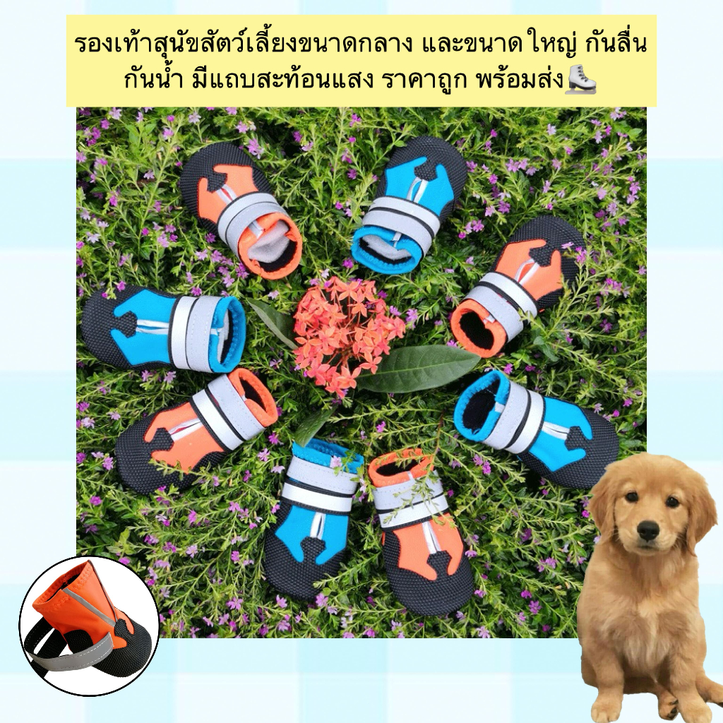 AL-868-1 รองเท้าสุนัขสัตว์เลี้ยงขนาดกลาง และขนาดใหญ่ กันลื่น กันน้ำ มีแถบสะท้อนแสง ราคาถูก พร้อมส่ง⛸️