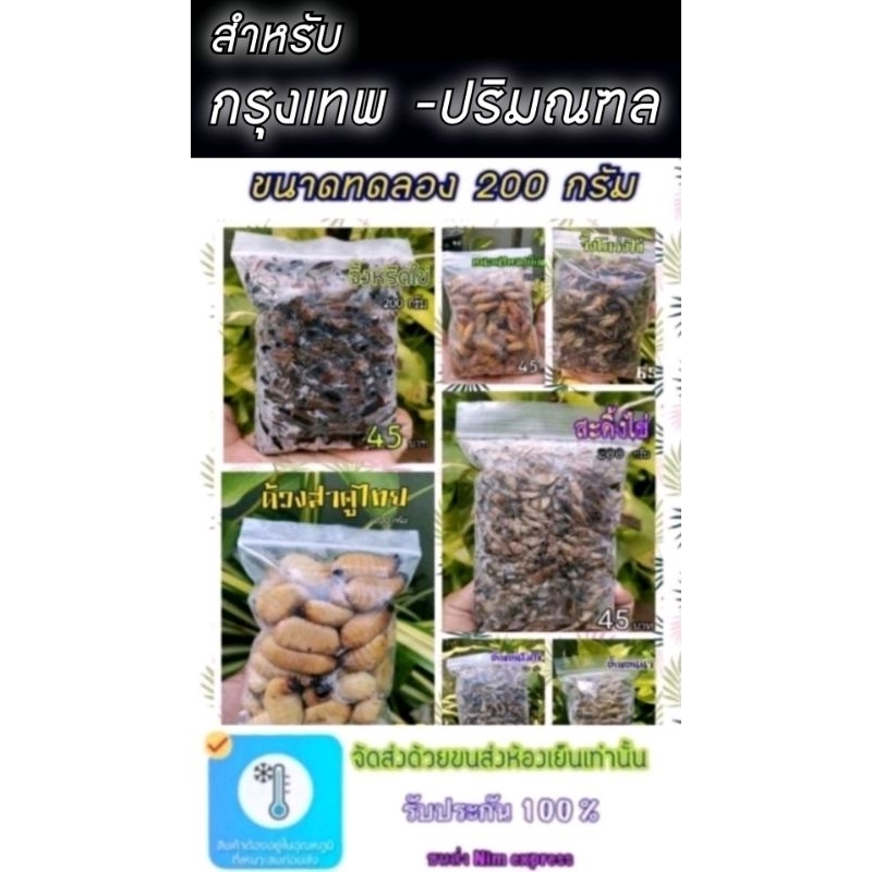 สำหรับ กทม-ปริมณฑล​ เท่านั้น 🔥🔥ขนาด 200 กรัม🔥🔥