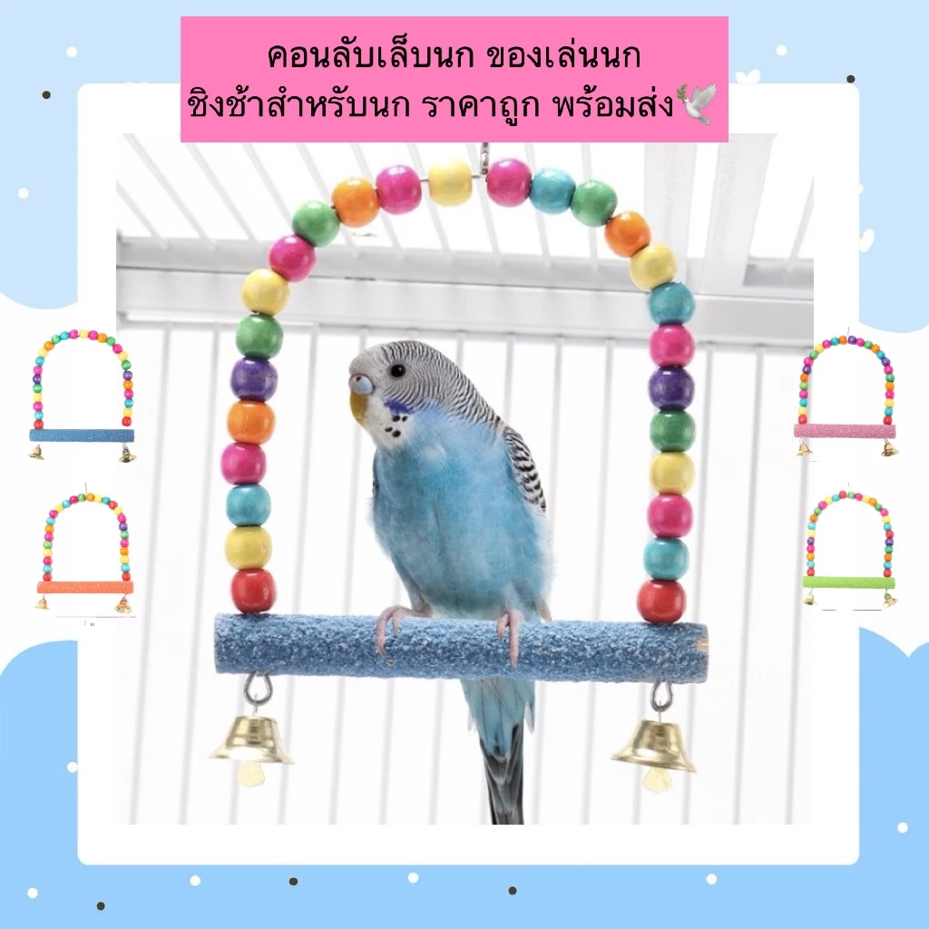 AL-893 คอนลับเล็บนก ของเล่นนก ชิงช้าสำหรับนก ราคาถูก พร้อมส่ง🕊️