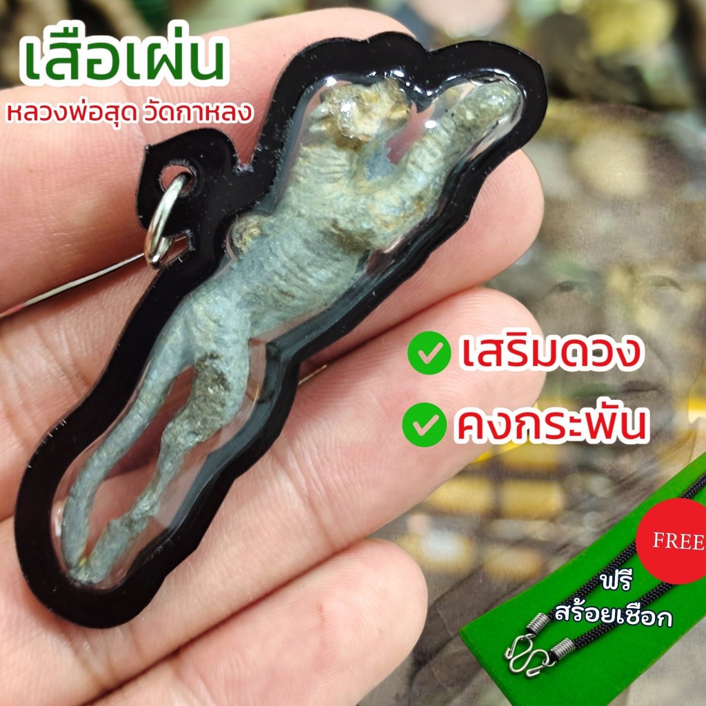 แถมสร้อยฟรี จี้ห้อยคอ พญาเสือเผ่น หลวงปู่สุด วัดกาหลง เลี่ยมกรอบกันน้ำ บูชาเสริมดวงเสริมโชคลาภและคงกระพัน
