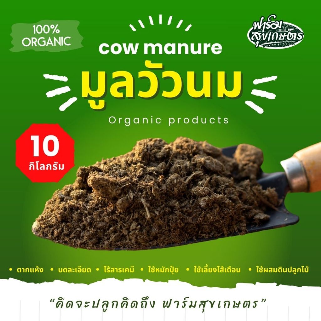 มูลวัวนม 10 กิโล บดละเอียด  ขี้วัว ปุ๋ยคอก ตากแห้ง