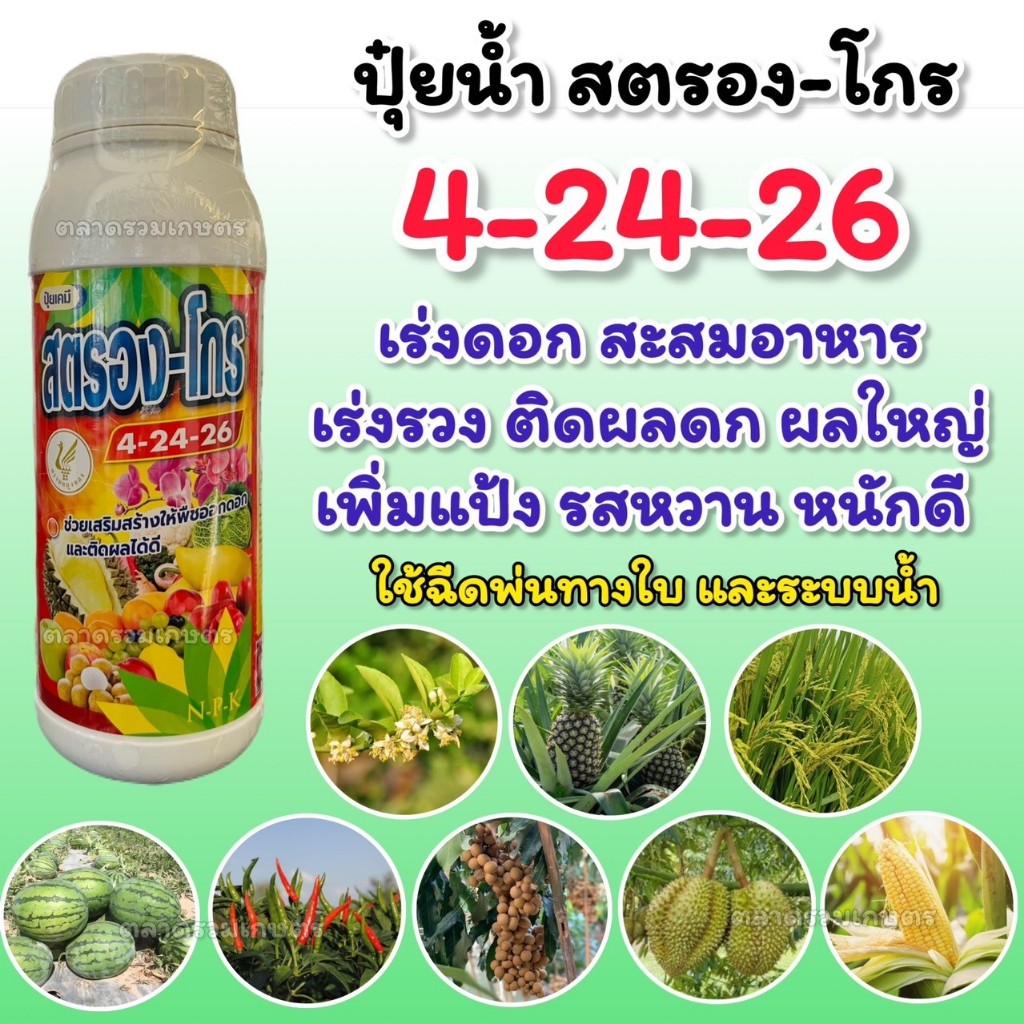 ปุ๋ยน้ำ 4-24-24 สตรองโกร สูตรเข้มข้น ปุ๋ยทุเรียน ปุ๋ยน้ำทางใบ ปุ๋ย ฮอร์โมนพืช เร่งดอก เปิดตาดอก ผลให