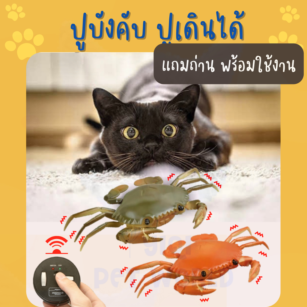 (พร้อมส่งจากไทย) ของเล่นแมว ปูบังคับ ปูวิ่งได้ สัตว์เลี้ยง หนูบังคับ หนูไฟฟ้า (Y026)