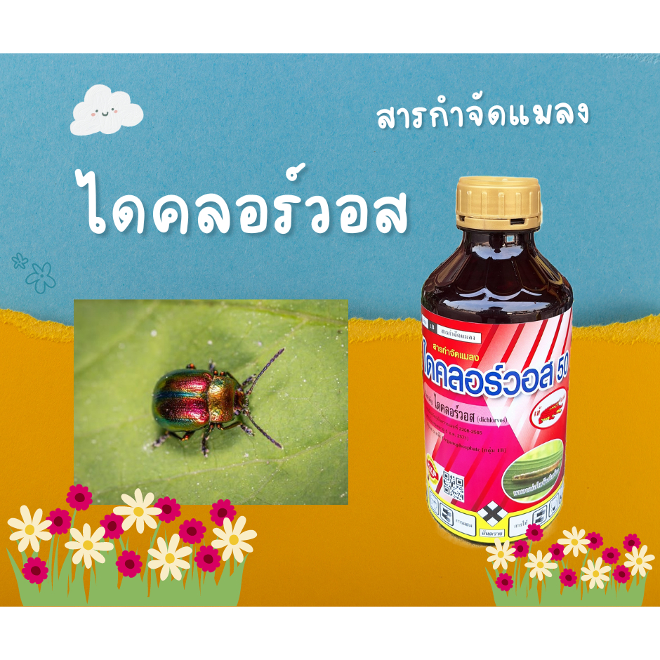 ไดคลอร์วอส 50% ขนาด 1 ลิตร สารกำจัดแมลง หนอน เพลี้ย เพลี้ยกระโดด แมลงหวี่ขาว แมลงปีกแข็ง [4-048]