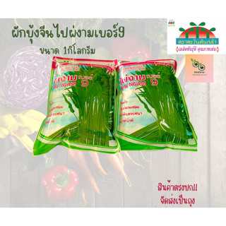 เมล็ดผักบุ้งจีนไผ่งามเบอร์9 ขนาด 1 กิโลกรัม