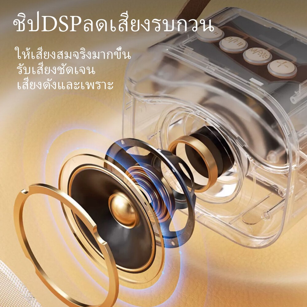 Orashare BS06 ลำโพงคาราโอเกะบลูทูธพร้อมไมโครโฟน ลำโพงไร้สายเสียง HiFi พร้อมไฟ RGBลําโพงบลูทูธ