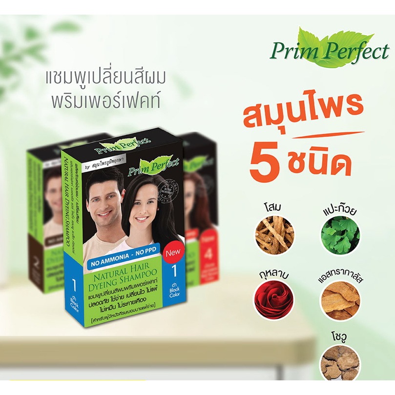 Poompuksa(ภูมิพฤกษา) แชมพูเปลี่ยนสีผม พริมเพอร์เฟคท์ ภูมิพฤกษา Prim Perfect