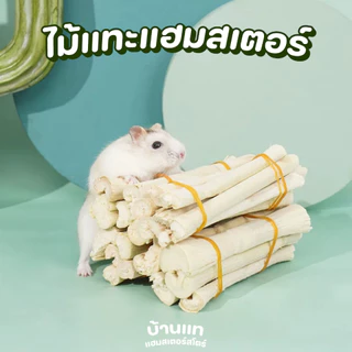 [ลดการกัดกรง] ของเล่นสำหรับลับฟัน ของเล่นติดกรง เพื่อสุขภาพฟันที่ดีของแฮมสเตอร์และสัตว์ฟันแทะทุกชนิด