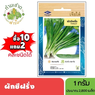 เจียไต๋ (ซื้อ10แถม2) เมล็ดพันธุ์ ผักชีฝรั่ง ขนาด1กรัม ประมาณ2,800เมล็ด Parsley ผักชีใบเลื่อย เมล็ดพันธุ์พืช เมล็ดผัก ปลู