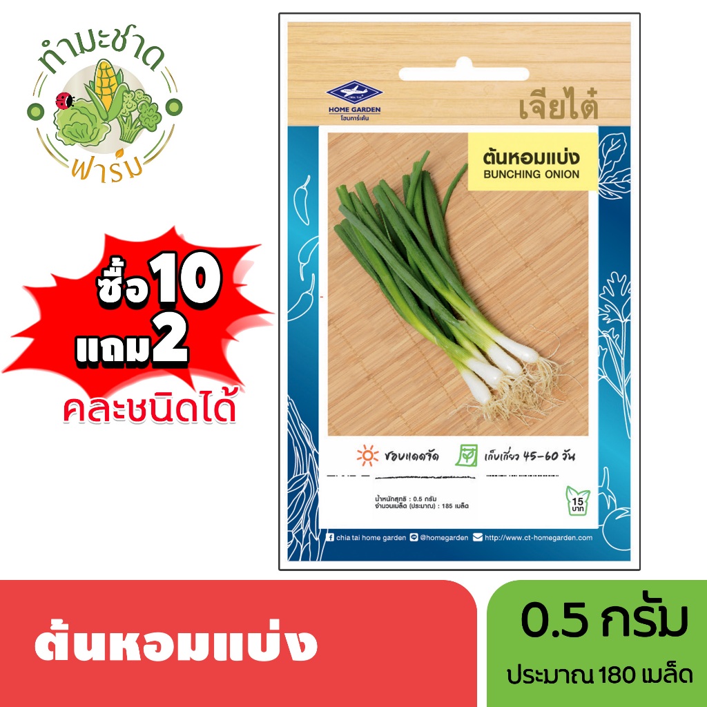 เจียไต๋ (ซื้อ10แถม2) เมล็ดพันธุ์ ต้นหอมแบ่ง ขนาด0.5กรัม ประมาณ185เมล็ด Bunching Onion ต้นหอม หอมแบ่ง เมล็ดพันธุ์พืช เมล็