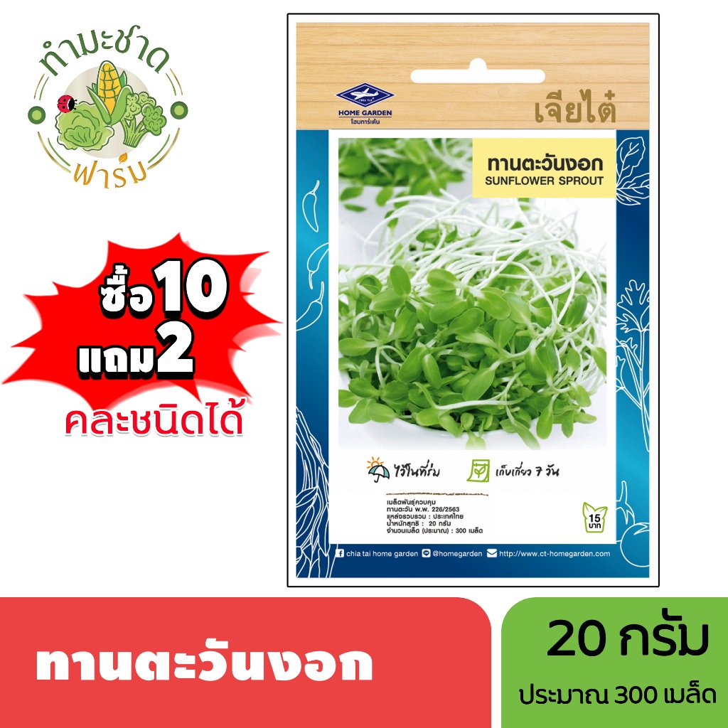 เจียไต๋ (ซื้อ10แถม2) เมล็ดพันธุ์ ทานตะวันงอก ขนาด20กรัม ประมาณ300เมล็ด Sunflower Sprout ต้นอ่อนทานตะวัน เมล็ดพันธุ์พืช เ ราคา ถูกที่สุด ดีลบีเคเค