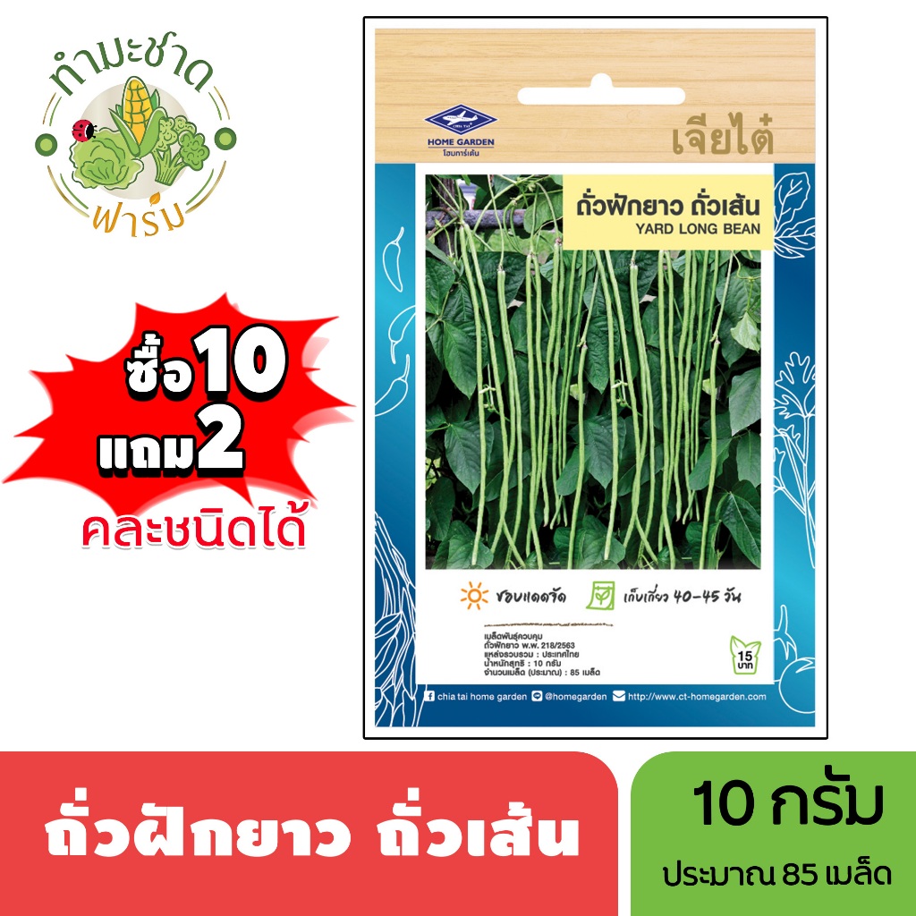 เจียไต๋ (ซื้อ10แถม2) เมล็ดพันธุ์ ถั่วฝักยาวถั่วเส้น ขนาด10กรัม ประมาณ85เมล็ด Yard Long Bean ถั่วฝักยาว เมล็ดพันธุ์พืช เม