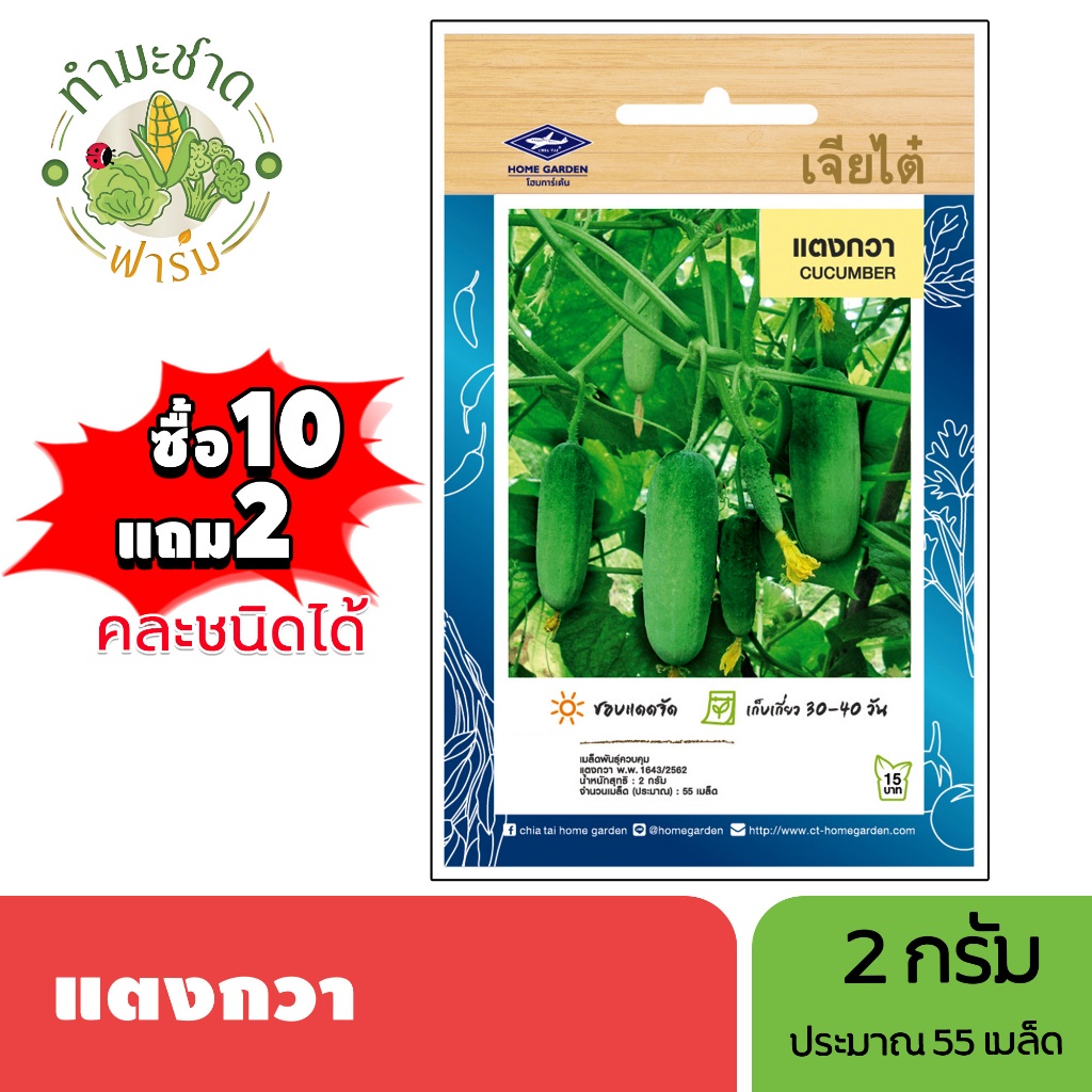 เจียไต๋ (ซื้อ10แถม2) เมล็ดพันธุ์ แตงกวา ขนาด2กรัม ประมาณ55เมล็ด Cucumber แตง เมล็ดพันธุ์พืช เมล็ดผัก ปลูกผักสวนครัว