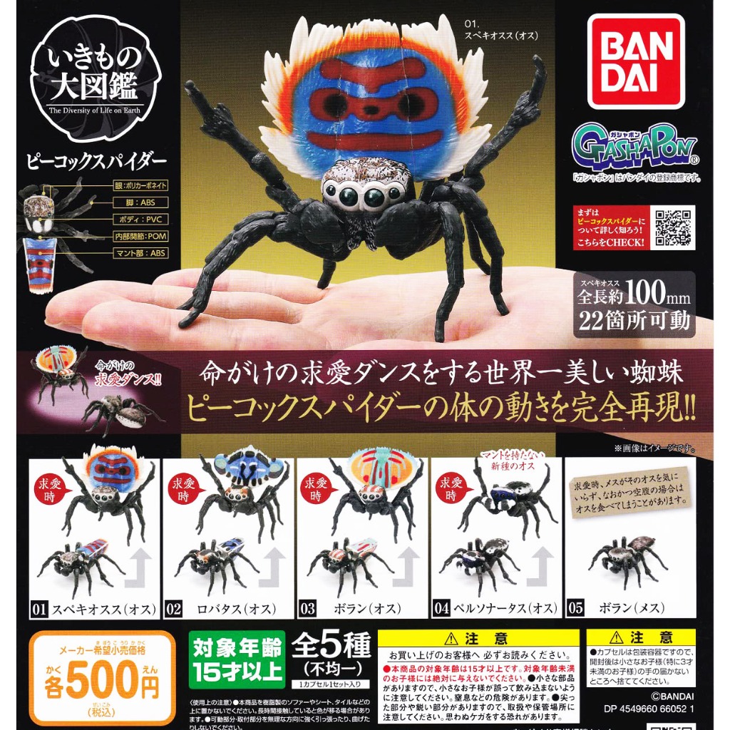 Bandai Peacock Spider Complete Set Gashapon Ikimono Encyclopedia แมงมุม กาชาปอง Dango Mushi