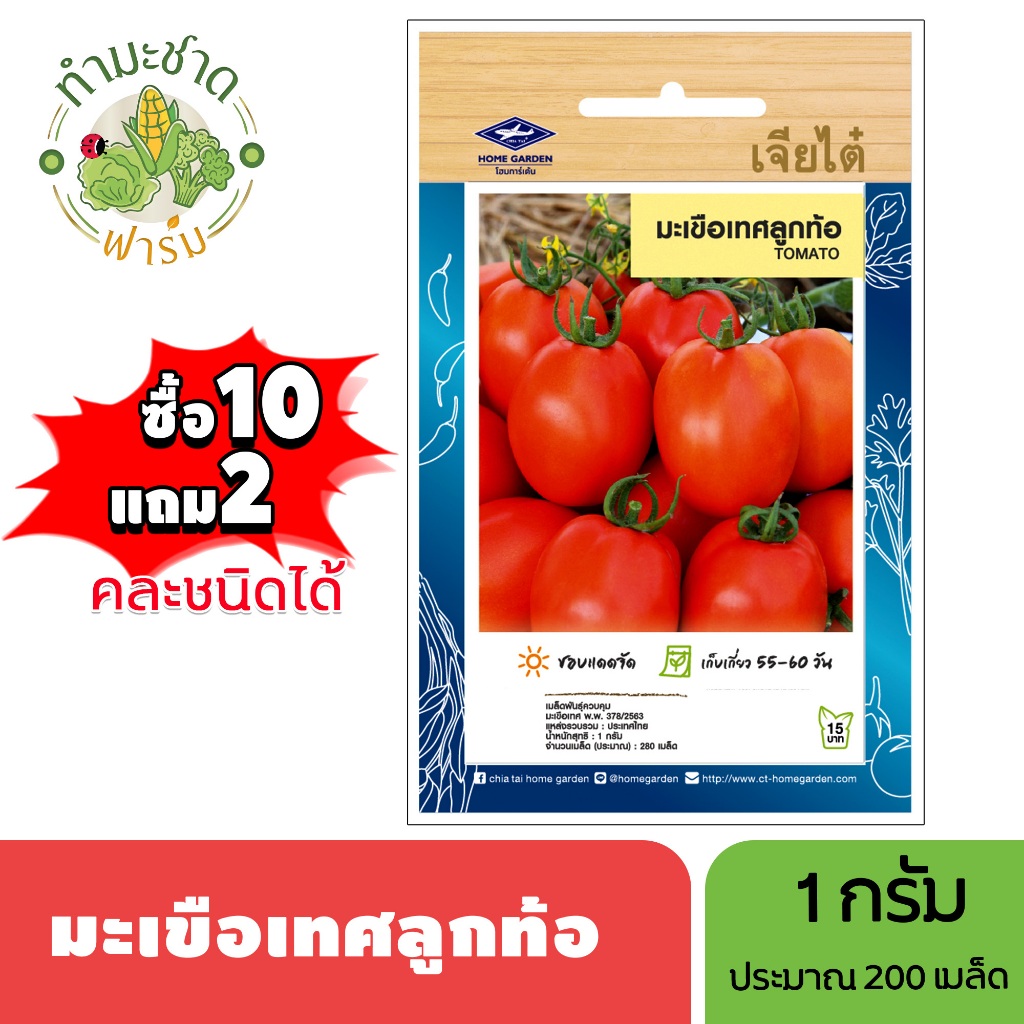 เจียไต๋ (ซื้อ10แถม2) เมล็ดพันธุ์ มะเขือเทศลูกท้อ ขนาด1กรัม ประมาณ280เมล็ด Tomato มะเขือเทศ เมล็ดพันธุ์พืช เมล็ดผัก ปลูกผ