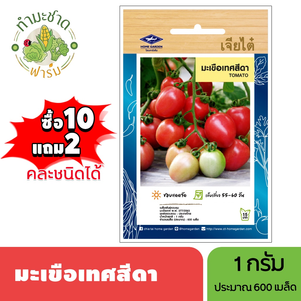 เจียไต๋ (ซื้อ10แถม2) เมล็ดพันธุ์ มะเขือเทศสีดา ขนาด1กรัม ประมาณ630เมล็ด Tomato มะเขือเทศ เมล็ดพันธุ์พืช เมล็ดผัก ปลูกผัก
