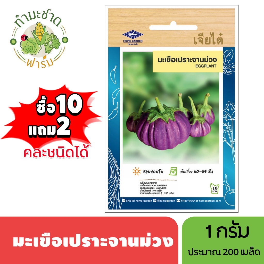 เจียไต๋ (ซื้อ10แถม2) เมล็ดพันธุ์ มะเขือเปราะจานม่วง ขนาด1กรัม ประมาณ200เมล็ด Eggplant มะเขือจาน เมล็ดพันธุ์พืช เมล็ดผัก
