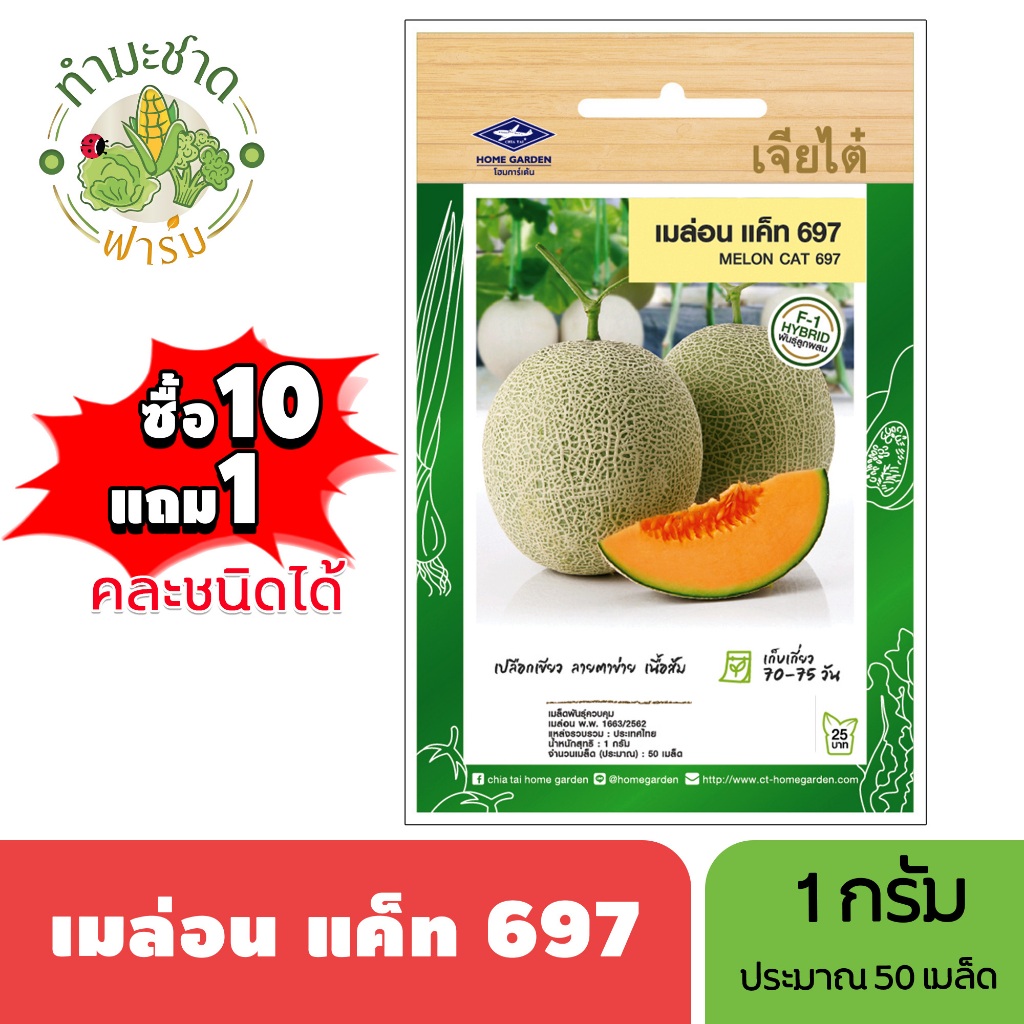 เจียไต๋ (ซื้อ10แถม1) เมล่อน แค็ท 697 ขนาด1กรัม ประมาณ50เมล็ด Melon เมล่อน เมล็ดพันธุ์พืช เมล็ดผัก ปลูกผักสวนครัว