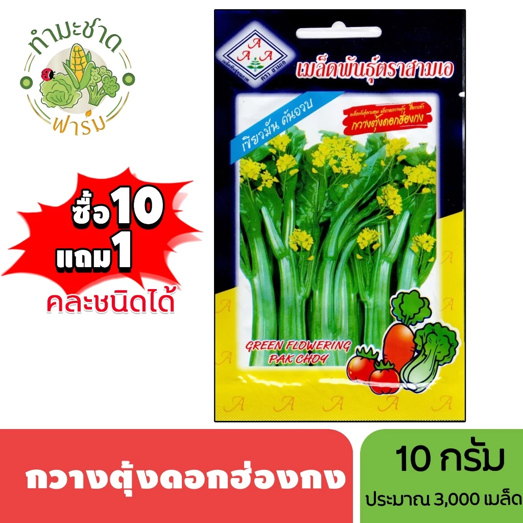 3A (ซื้อ10แถม1) เมล็ดพันธุ์ กวางตุ้งดอกฮ่องกง ขนาด 10 กรัม ประมาณ 3,000 เมล็ด GREEN FLOWERING PAK CGOY กวางตุ้งดอก