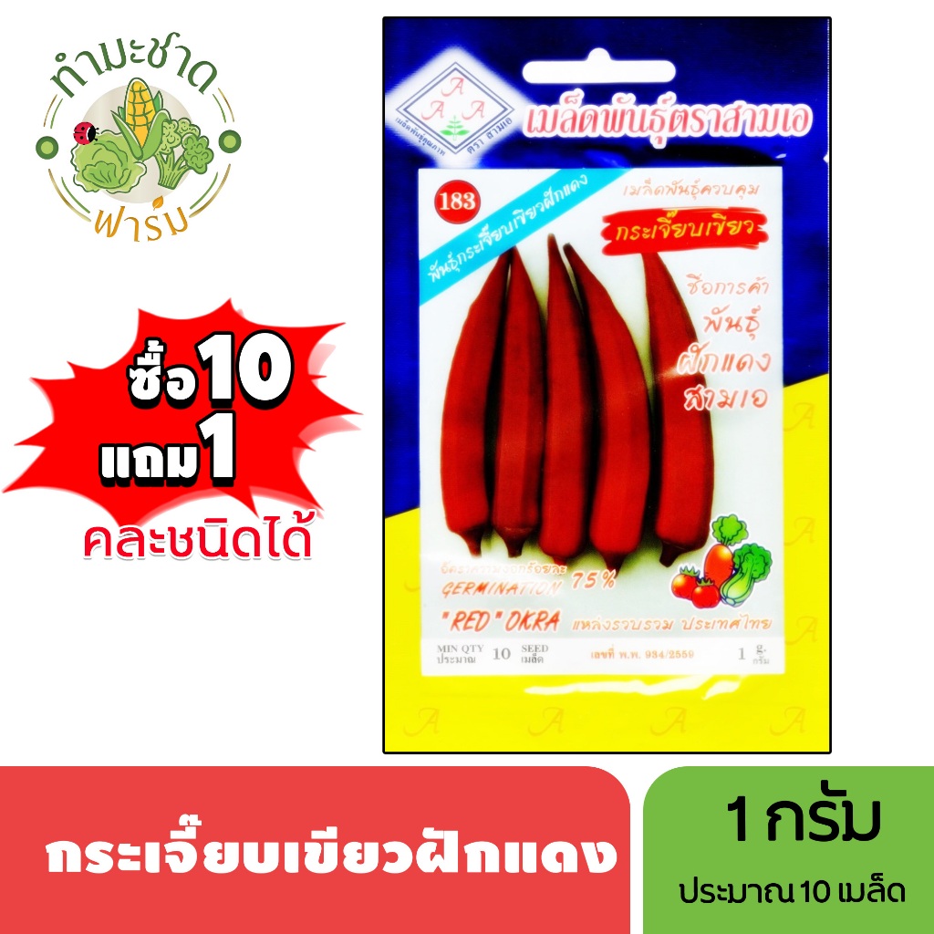 3A (ซื้อ10แถม1) เมล็ดพันธุ์ กระเจี๊ยบเขียวฝักแดง ขนาด1กรัม ประมาณ10เมล็ด RED OKRA กระเจี๊ยบมอญ มะเขือมอญ มะเขือมื่น