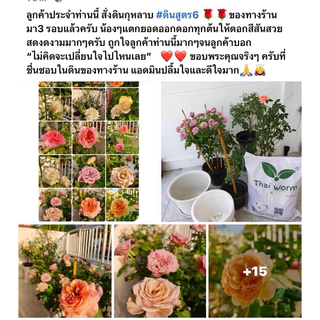 ส่งฟรี‼️ดินกุหลาบสูตร 6 Thai worm สำหรับปลูกกุหลาบและพืชที่ชอบดินโปร่ง
