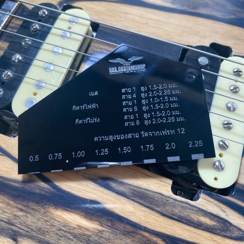 2 in 1 Action Gauge / Fret Rocker