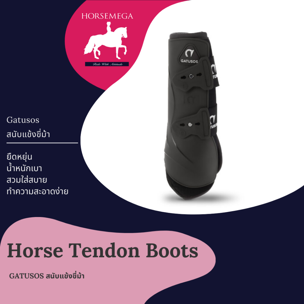 Horse tendon boots สนับแข้งขี่ม้า Dressage และ Jumping ป้องกันขาม้า และเส้นเอ็นม้า GATUSOS