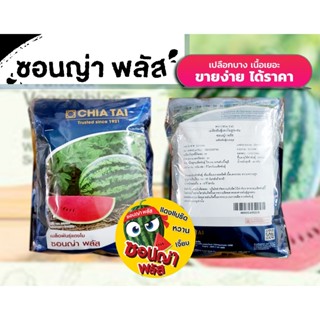 Chia Tai(เจียไต๋) เมล็ดพันธุ์ แตงโม ซอนญ่า พลัส 40 กรัม และแ…