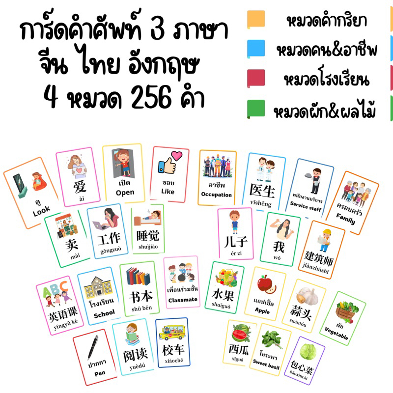 การ์ดคำศัพท์ แฟลชการ์ด flashcard การ์ดคำศัพท์3ภาษา การ์ดสามภาษา การ์ดภาษาจีน การ์ดภาษาอังกฤษ การ์ดภาษาไทยสื่อการสอน3ภาษา