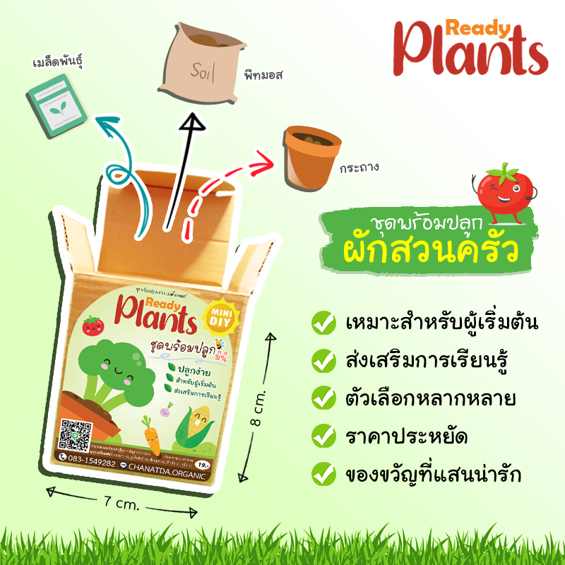 Ready Plants™ MINI ชุดที่ 1 ชุดพร้อมปลูกผักสวนครัว ปลูกง่าย เหมาะสำหรับผู้เริ่มต้น