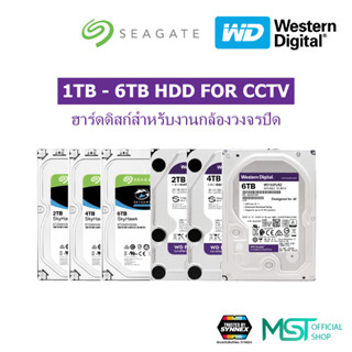 Harddisk HDD CCTV 1TB 2TB 4TB WD Purple / Seagate SkyHawk ฮา…