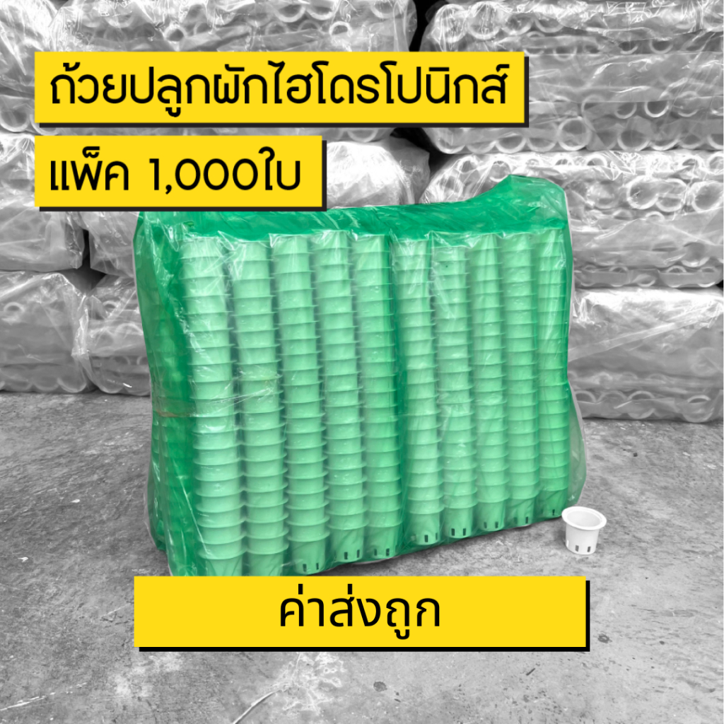 แพ็ค1,000ใบ ถ้วยปลูกผักไฮโดรโปนิกส์สีขาว AAA