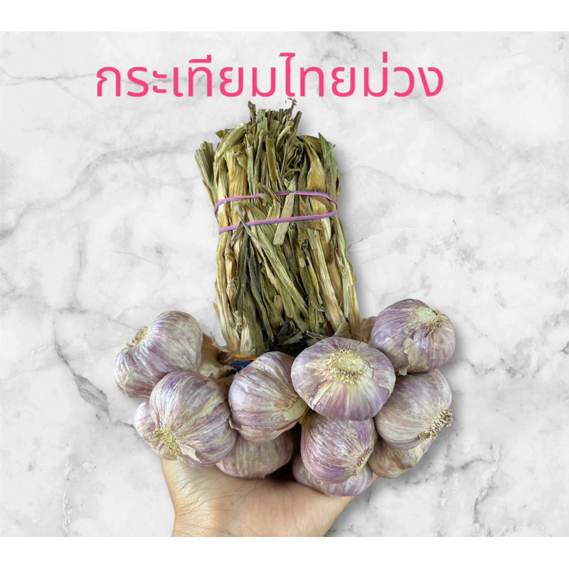 กระเทียมไทยม่วงมัดจุกคละไชร์ขนาด 1 กิโลกรัม